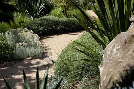 Iris Giardini di Mari Leo a Porto Torres, provincia di Sassari in Sardegna. Servizi di analisi, consulenza, progettazione, realizzazione e manutenzione di aree verdi pubbliche e private.