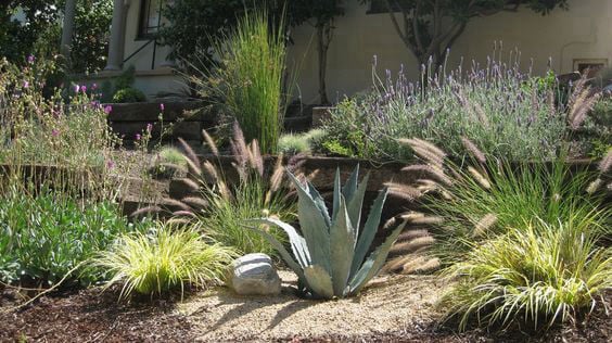 Iris Giardini di Mari Leo a Porto Torres, provincia di Sassari in Sardegna. Servizi di analisi, consulenza, progettazione, realizzazione e manutenzione di aree verdi pubbliche e private.